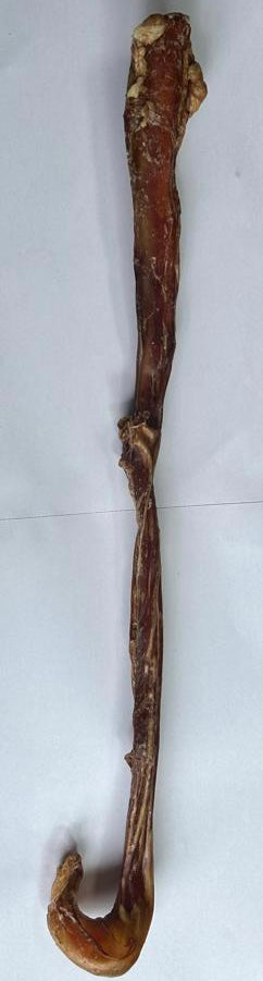 Full Length Pizzle Stick