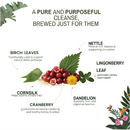Paws For Greens Detoxing Brew - Herbal Tea For Dogs