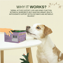 Paws For Greens Detoxing Brew - Herbal Tea For Dogs
