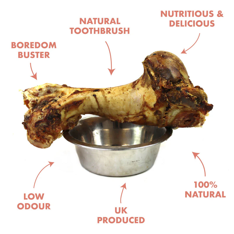 Roasted Whole Bone Jurassic