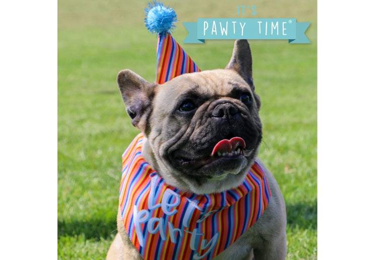 Let's Party Bandana & Hat - Stripe For Dogs