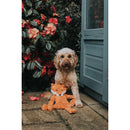 Rosewood My Dog Fox Toy