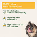 AniForte Natural Moor Mud 300g (supports digestion)