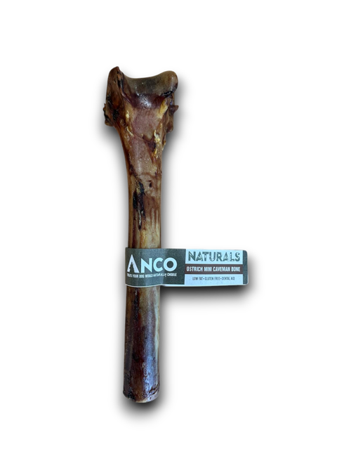 Anco Mini Caveman Bone