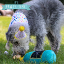 Ancol Pawty Champagne Dog Toy