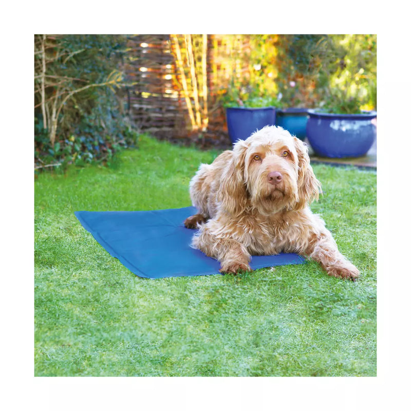 Rosewood Chillax Pet Cool Mat - Blue