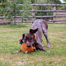 Ancol Heritage Phoebe Pheasant
