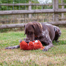 Ancol Heritage Samantha Squirrel