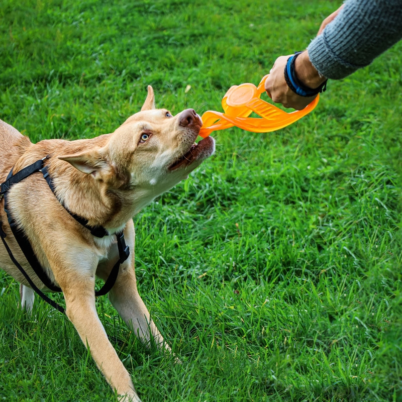 Bionic Toss-N-Tug Dog Toy