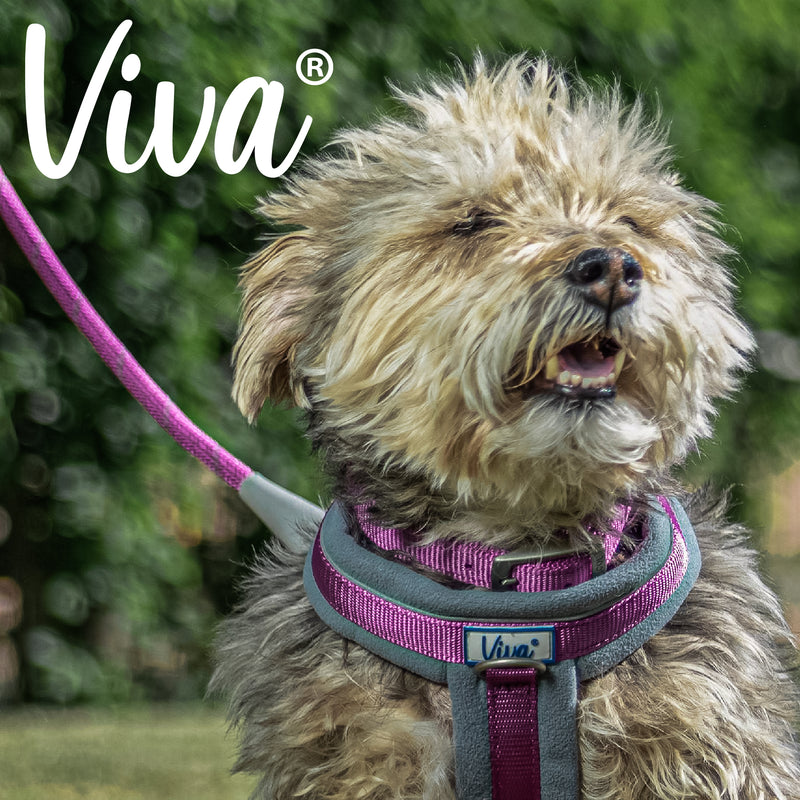 Ancol Viva Padded Buckle Dog Collar - Purple