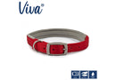 Ancol Viva Padded Buckle Dog Collar - Red