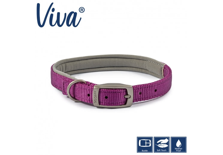 Ancol Viva Padded Buckle Dog Collar - Purple