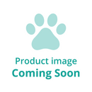 Pet Express Special Budgie - Pet Shop Online