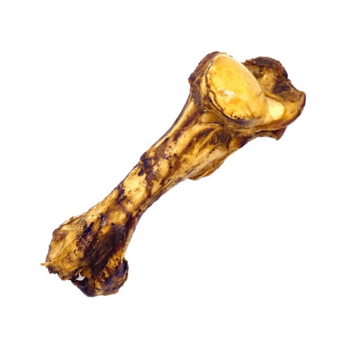 Roasted Whole Bone Jurassic - Pet Shop Online