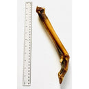 Anco Naturals  Roe Deer Leg - Pet Shop Online