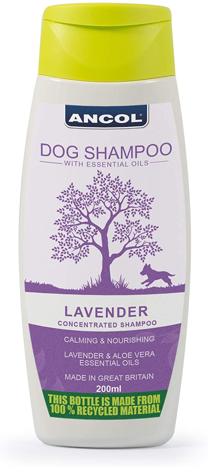 Ancol Dog shampoo (Lavender) - Pet Shop Online 
